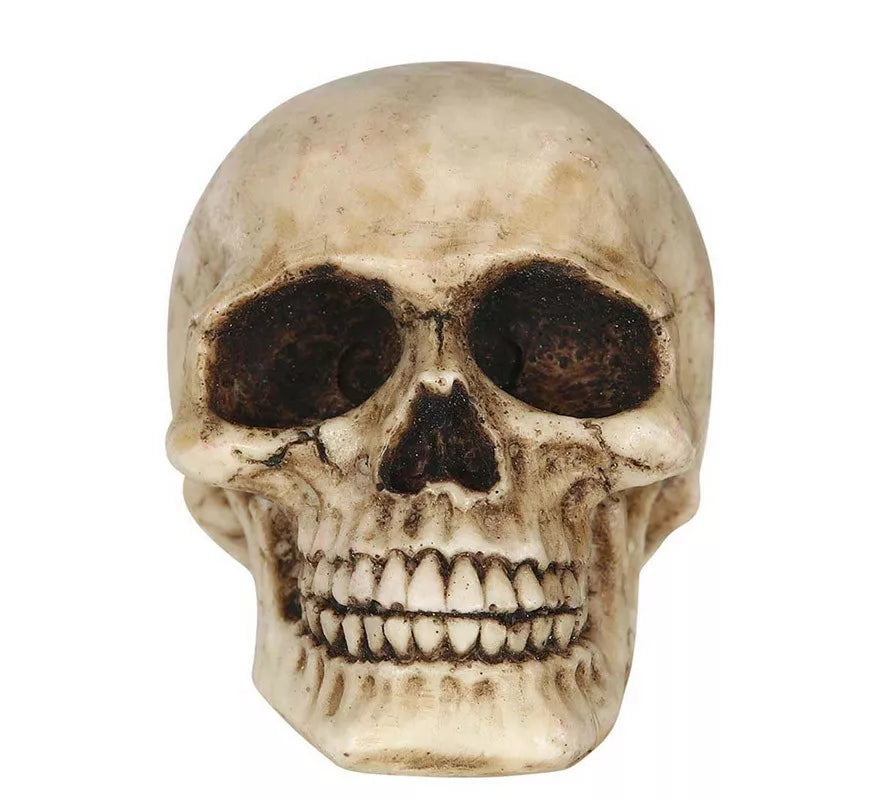 Translation missing: de.Calavera Resina de 8 cm