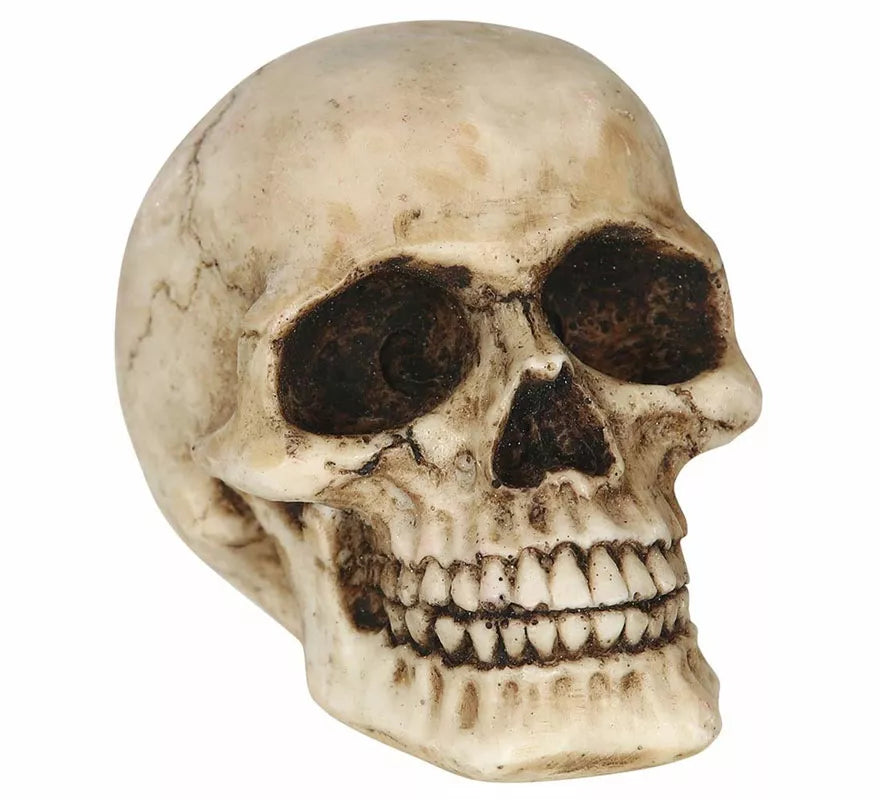 Translation missing: de.Calavera Resina de 8 cm