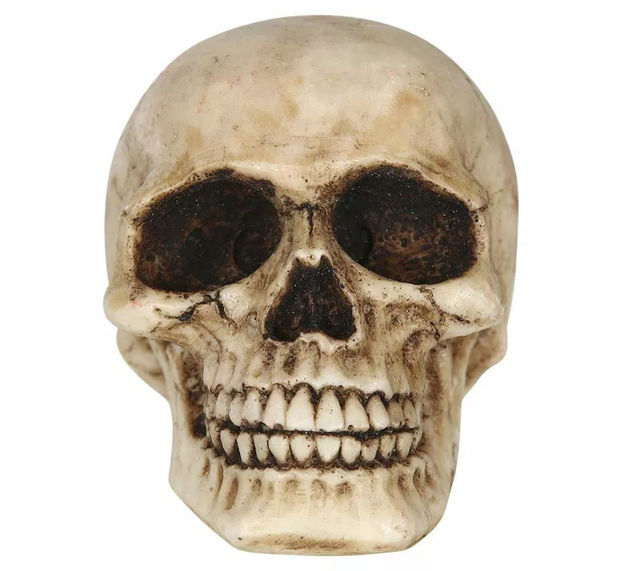 Translation missing: de.Calavera Resina de 8 cm