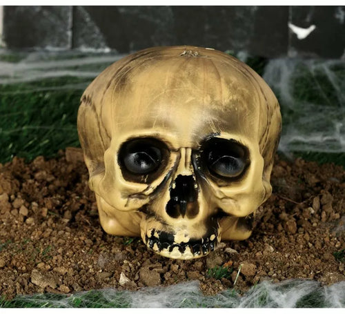 Calavera sin Mentón 20 cm