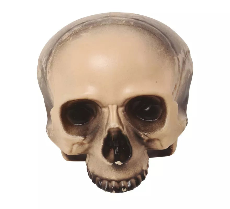 Translation missing: de.Calavera sin Mentón 20 cm