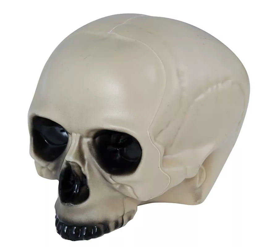 Translation missing: de.Calavera sin Mentón 20 cm