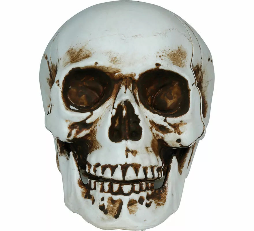 Translation missing: de.Calavera Sombras de 20 cm