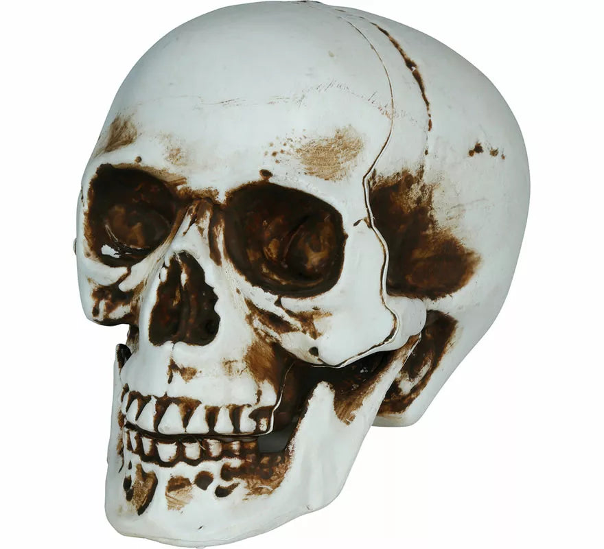Calavera Sombras de 20 cm
