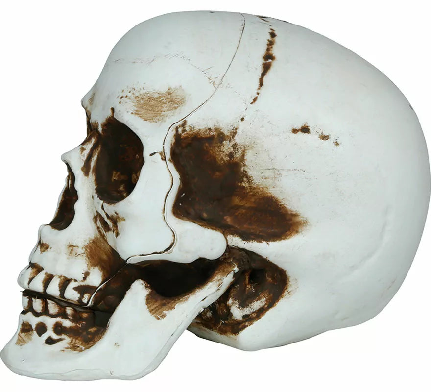 Calavera Sombras de 20 cm