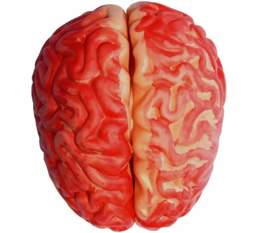 Translation missing: de.Cerebro Ensangrentado