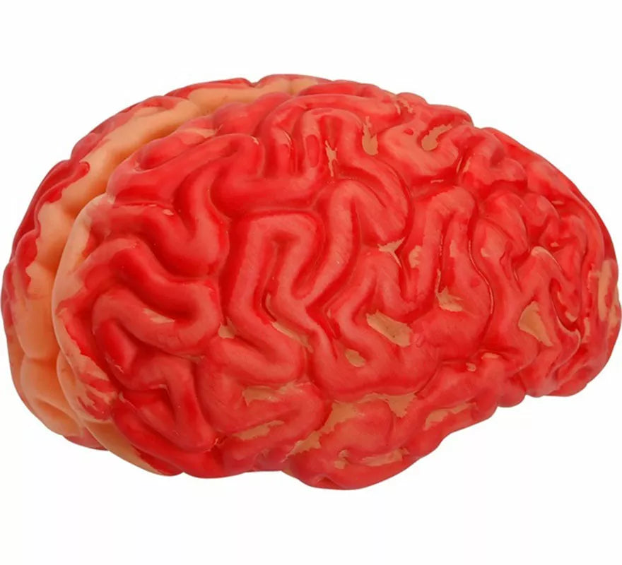 Translation missing: de.Cerebro Ensangrentado