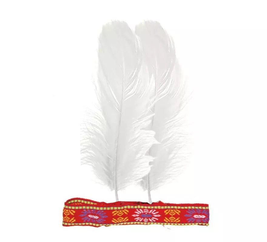 Translation missing: de.Cinta de Plumas colores surtidos para India