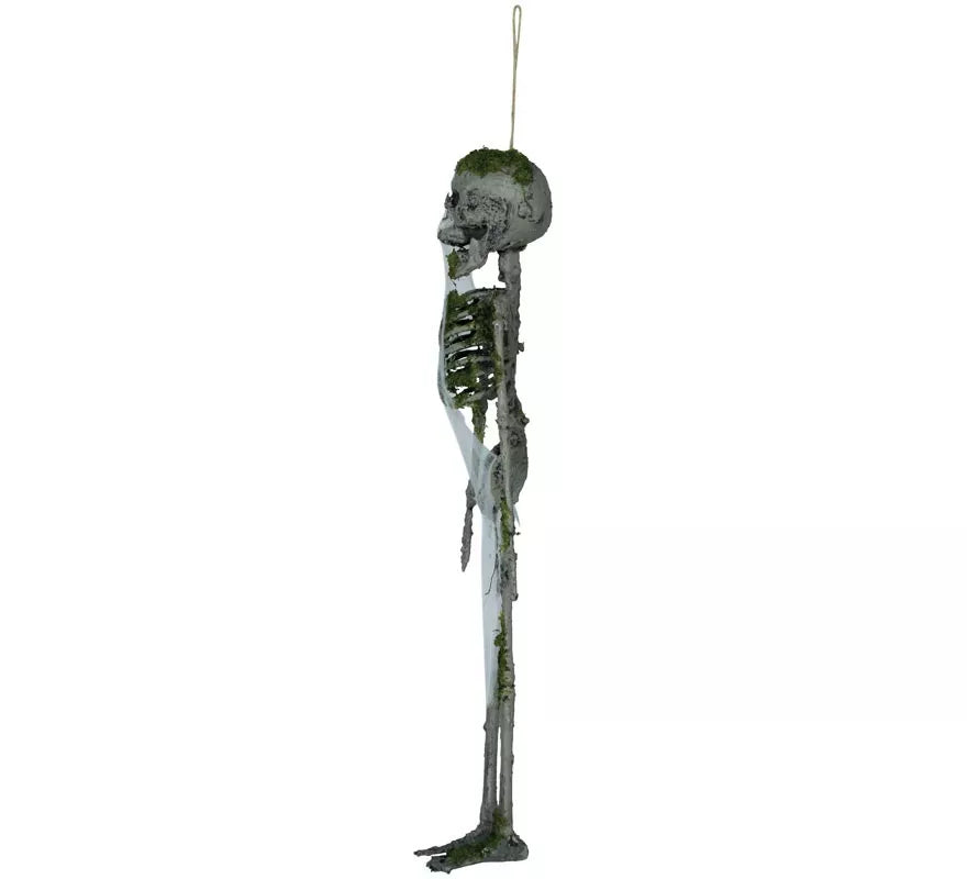 Colgante de Esqueleto con Musgo de 40 cm