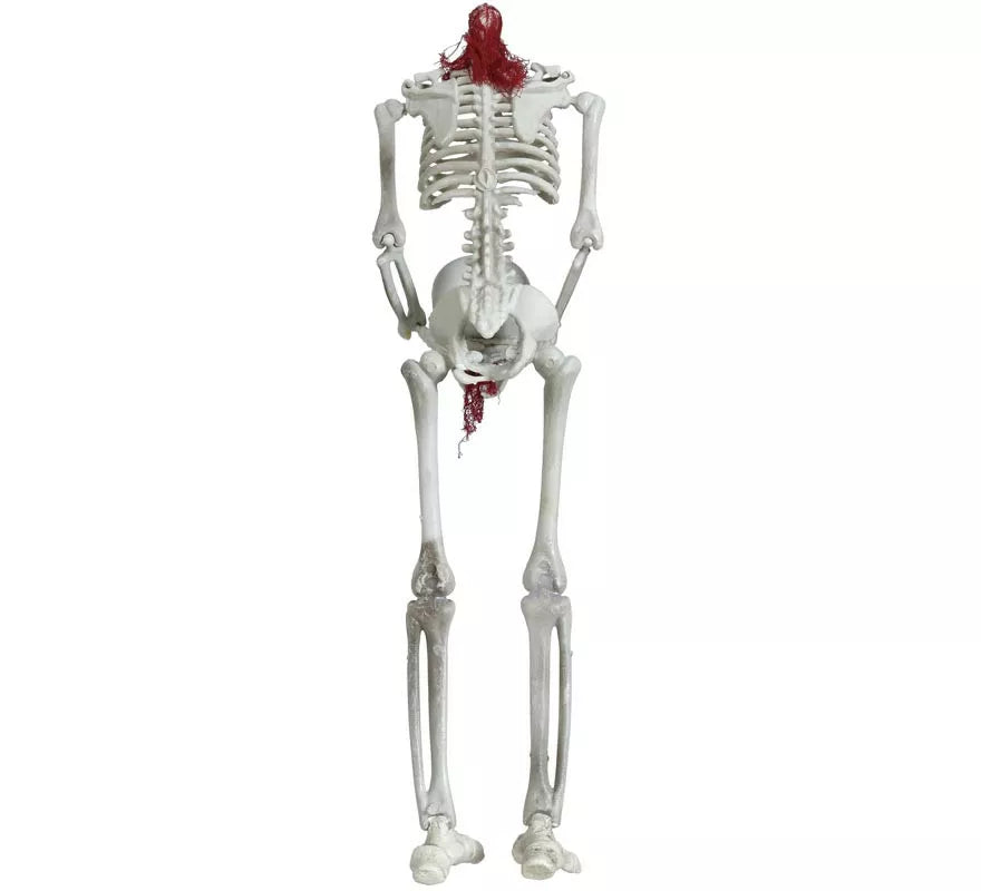 Translation missing: de.Colgante Esqueleto Sin Cabeza 37 cm