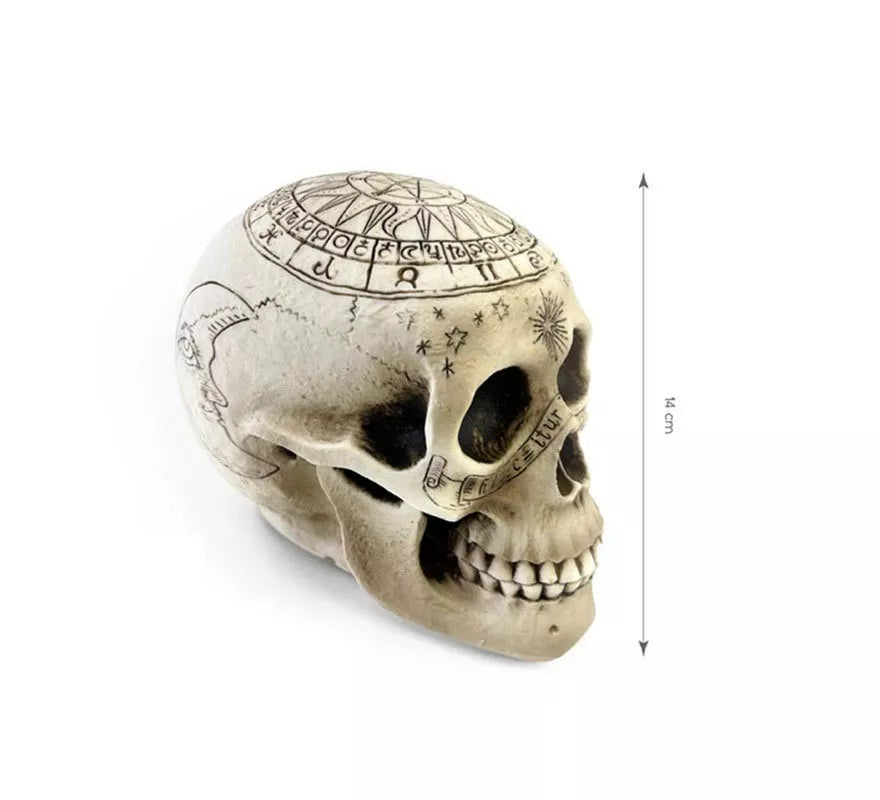 Translation missing: de.Cráneo Adornado con símbolos de 20x14 cm