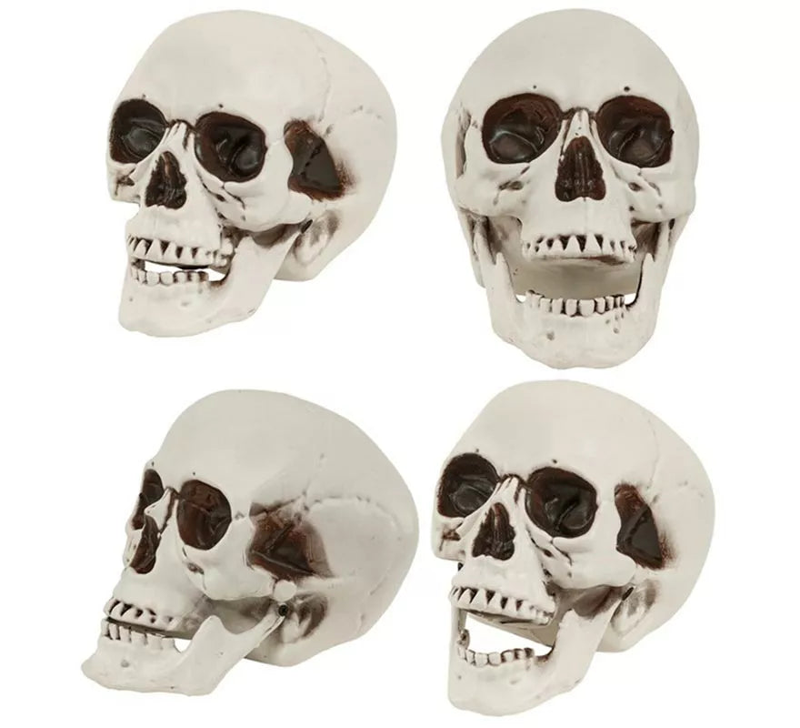 Translation missing: de.Cráneo o Calavera con Mandíbula Móvil de 12 cm