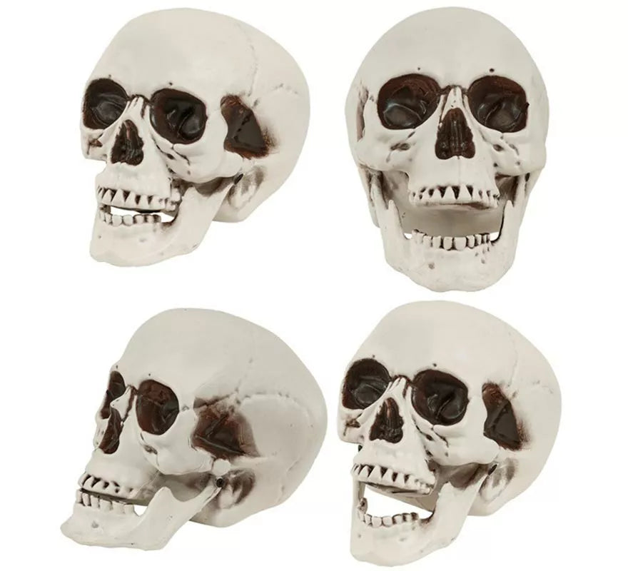 Translation missing: de.Cráneo o Calavera con Mandíbula Móvil de 28 cm