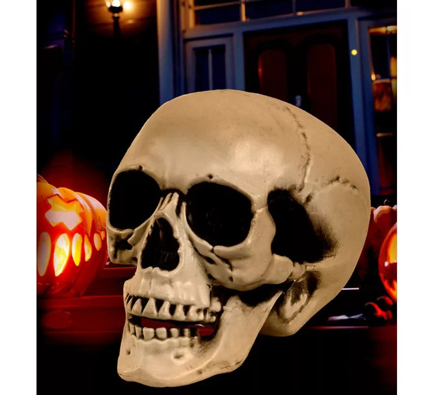 Translation missing: de.Cráneo o Calavera con Mandíbula Móvil de 28 cm