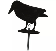 Schwarze Krähe 30 cm