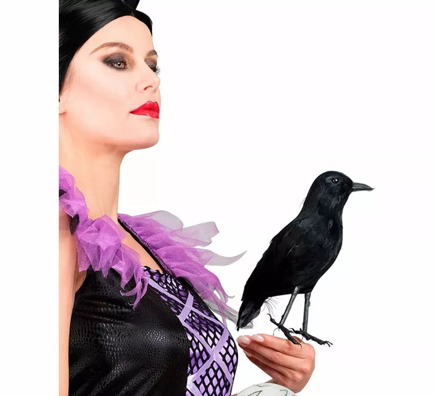 Translation missing: de.Cuervo negro con Plumas