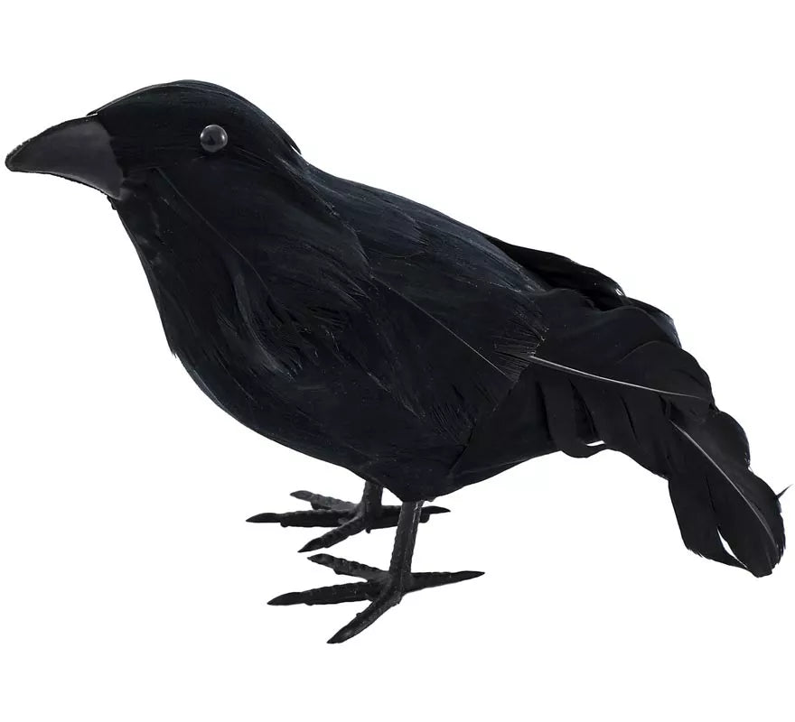 Translation missing: de.Cuervo negro con Plumas de 20,5x6x11 cm