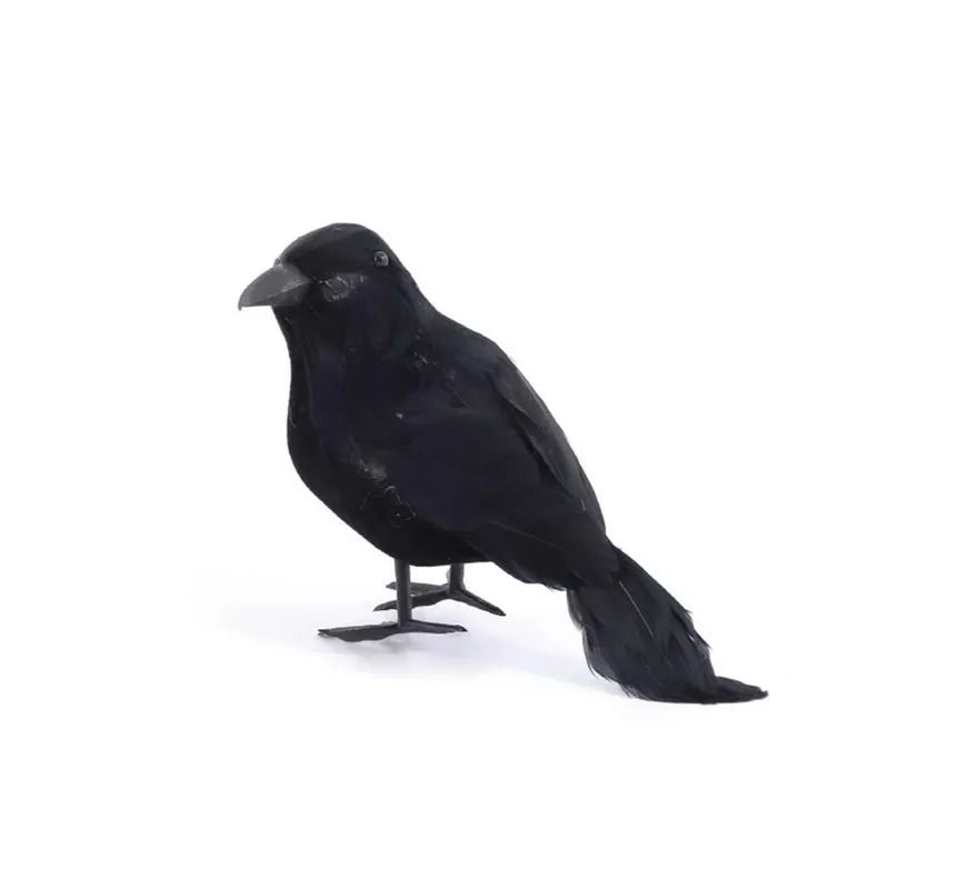 Cuervo plumas largas negro de 14 cm