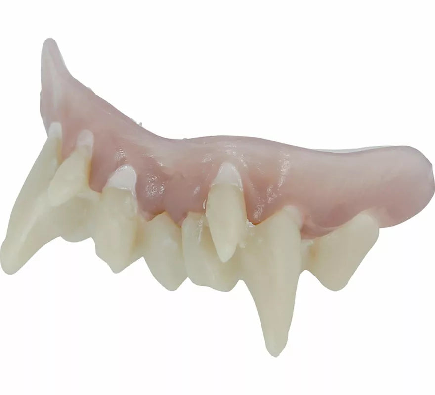 Translation missing: de.Dentadura de Nosferatu con Resina Termoplástica