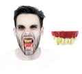 Dentadura de Vampiro blanca de Resina Fx