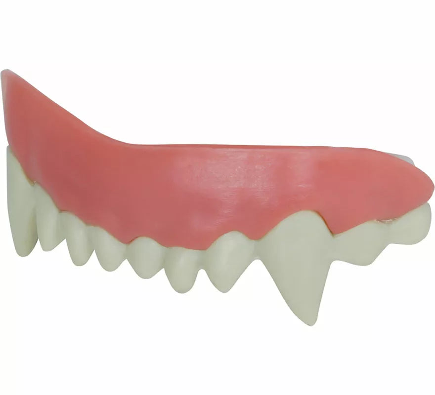 Dentadura de Vampiro con Resina Termoplástica
