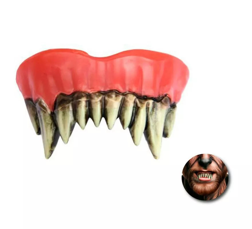 Translation missing: de.Dentadura Superior de Hombre lobo adulto