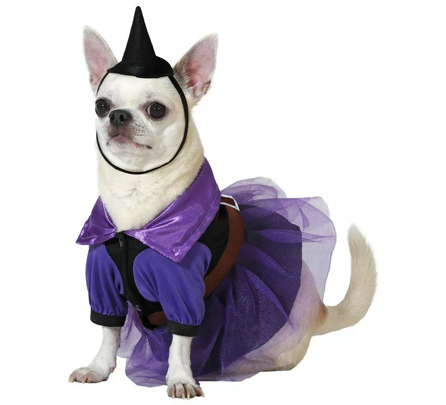 Translation missing: de.Disfraz de Bruja morada con sombrero para perro