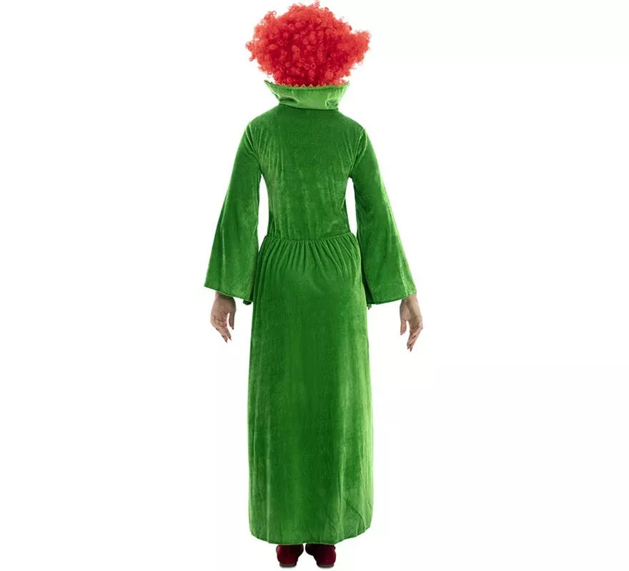 Translation missing: de.Disfraz de Bruja verde para mujer