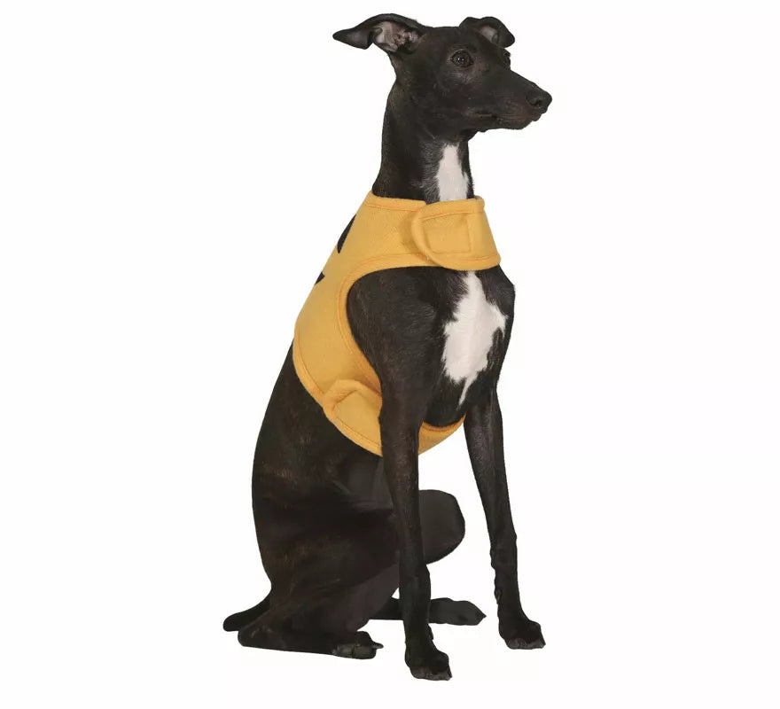 Disfraz de Calabaza Halloween para perro