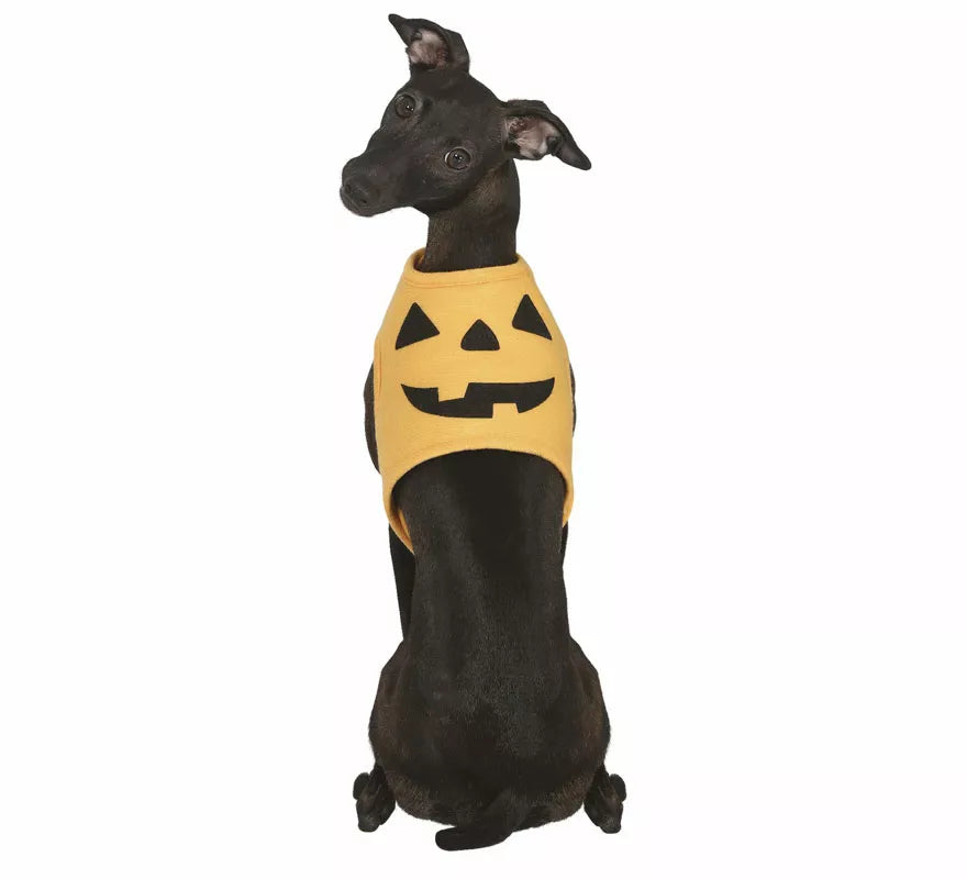Translation missing: de.Disfraz de Calabaza Halloween para perro