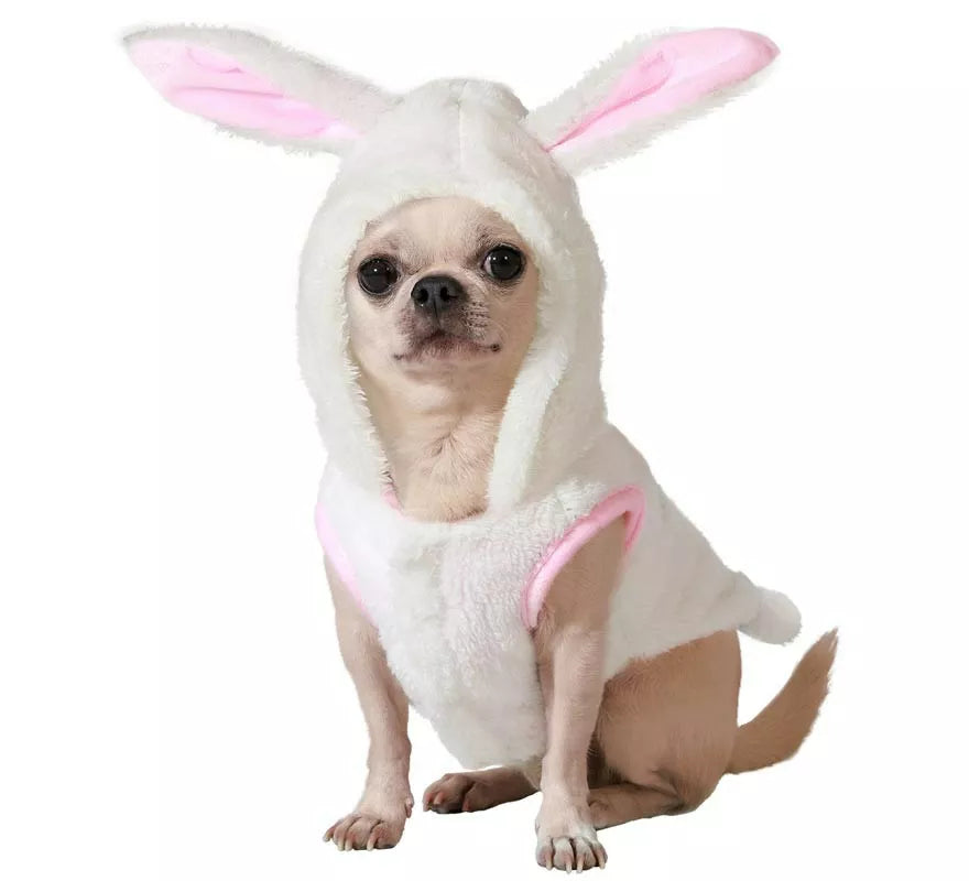 Translation missing: de.Disfraz de Conejo blanco para perro
