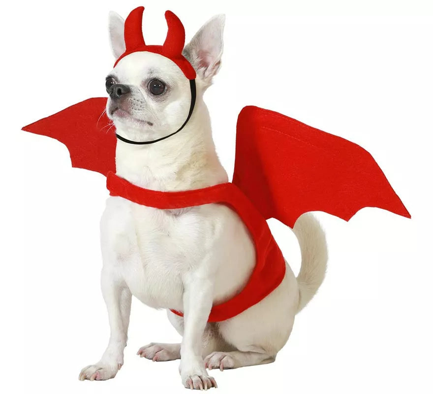 Translation missing: de.Disfraz de Demonio Alado con cuernos para perro