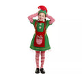 Disfraz de Elfa Polar en vestido verde y rojo para niña