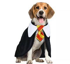 Magisches Student-Hundekostüm
