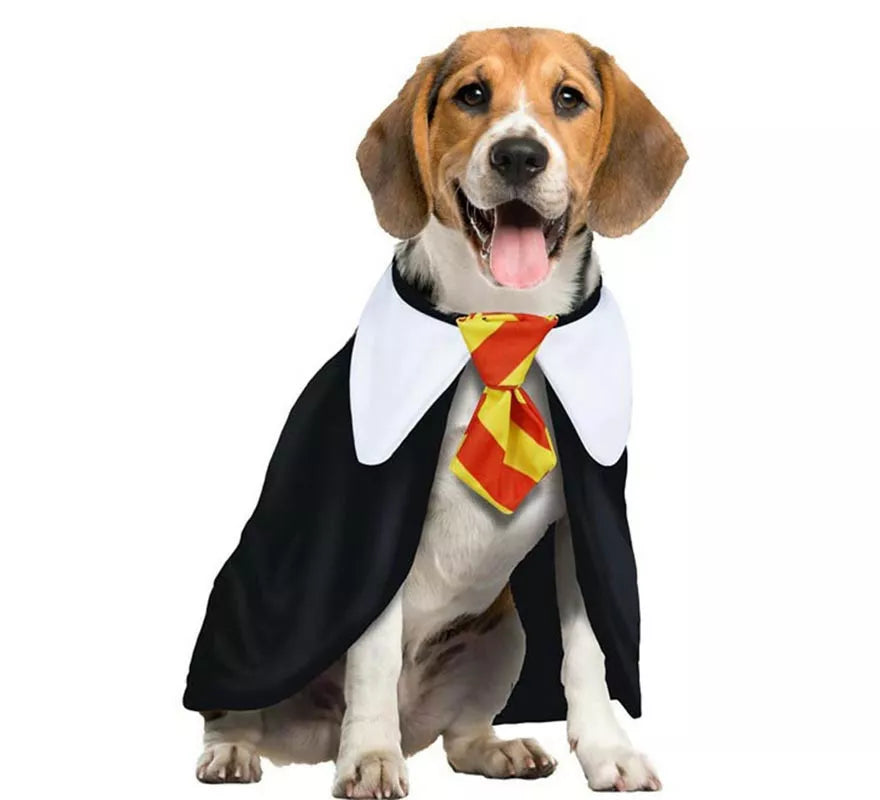 Translation missing: de.Disfraz de Estudiante de Magia para perro