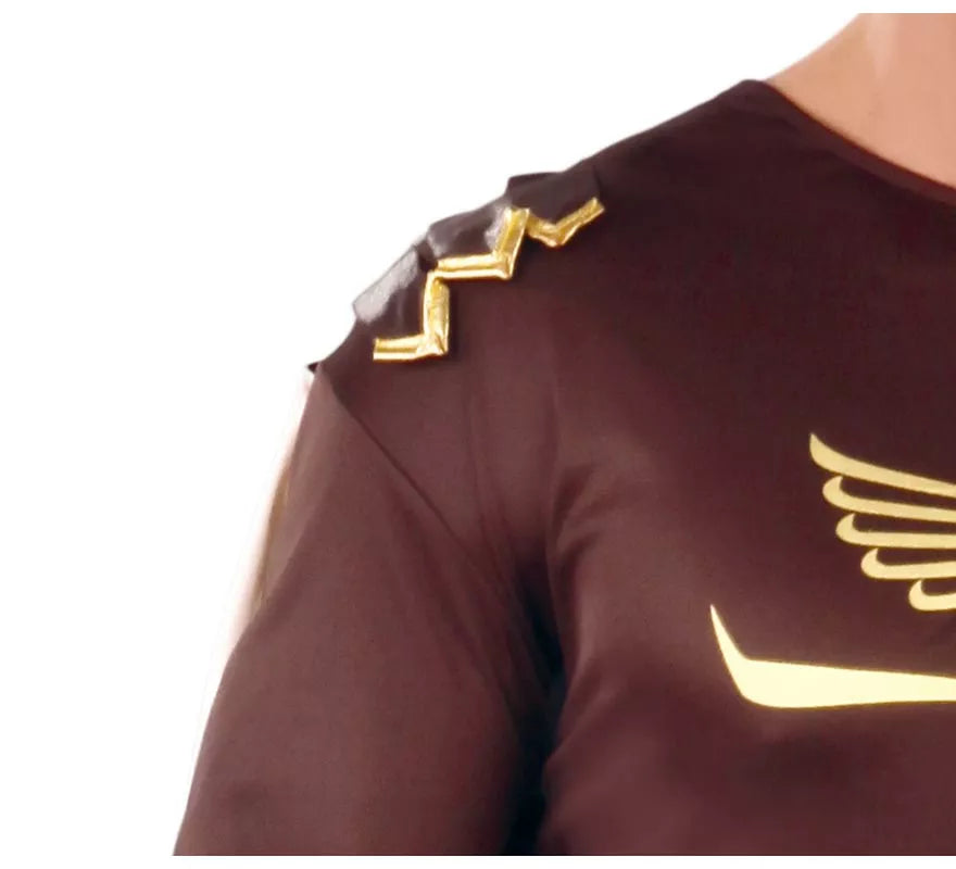 Translation missing: de.Disfraz de Gladius marrón para hombre