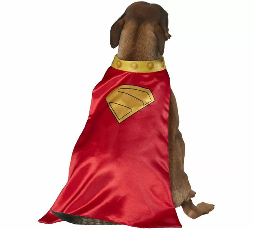 Disfraz de Krypto Superman para perro