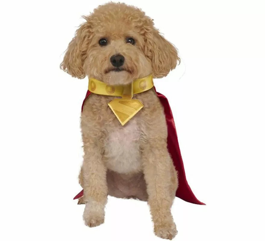 Translation missing: de.Disfraz de Krypto Superman para perro