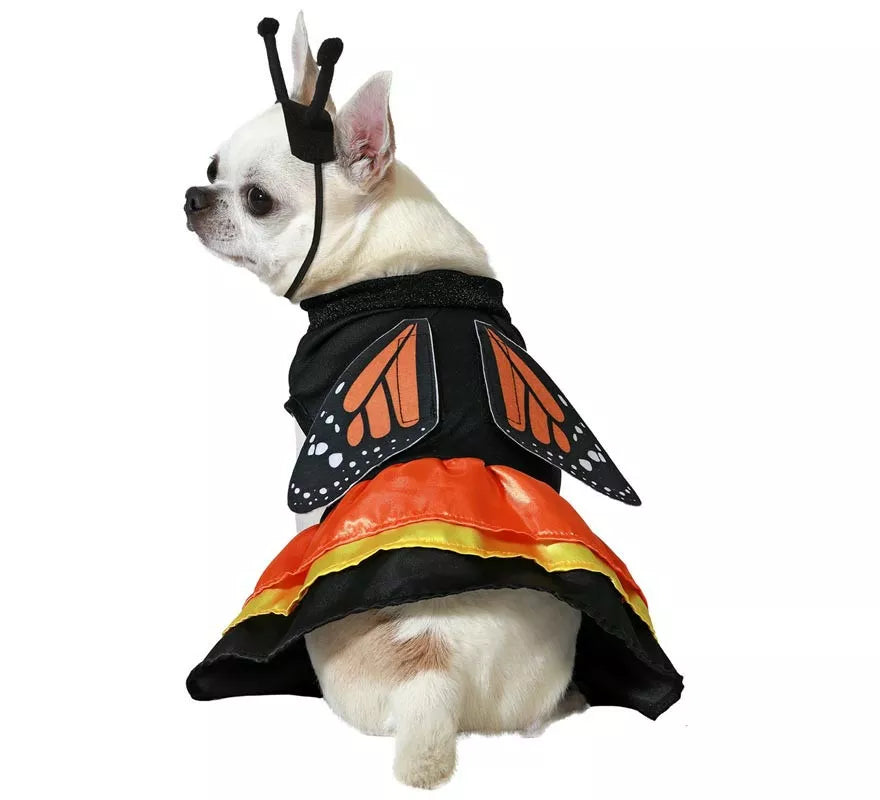 Translation missing: de.Disfraz de Mariposa para perro