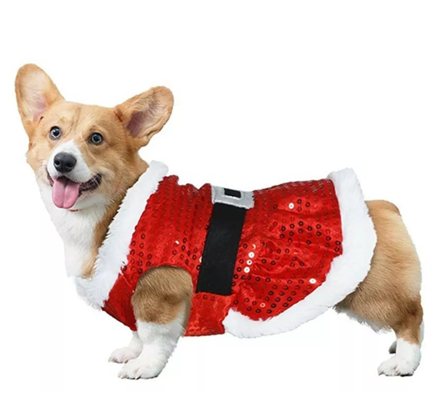 Translation missing: de.Disfraz de Papá Noel con lentejuelas para perro