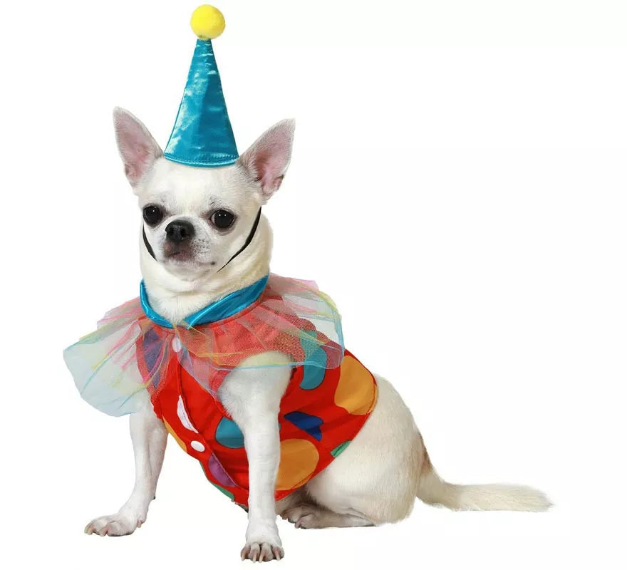 Translation missing: de.Disfraz de Payaso con Gorrito para perro