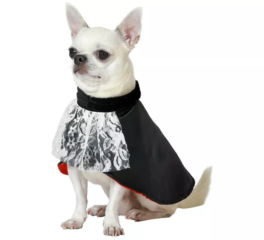 Disfraz de Vampiro Drácula para perro
