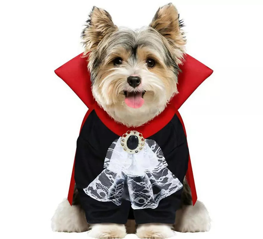 Translation missing: de.Disfraz de Vampiro Wooferatu para perro