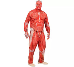 Express Anatomisches Muskelkostüm für Herren