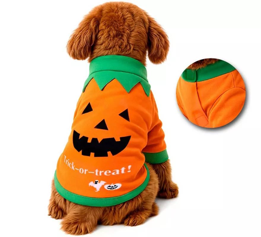 Translation missing: de.Disfraz Mascota Calabaza