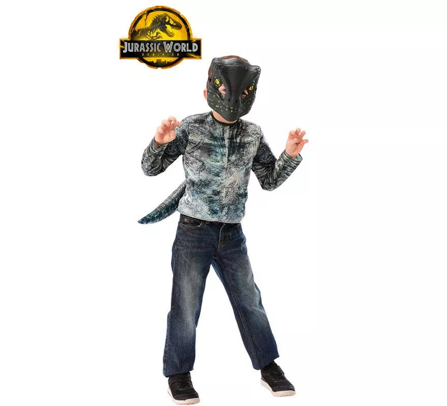 Translation missing: de.Disfraz o Kit de Velociraptor en Caja para niños