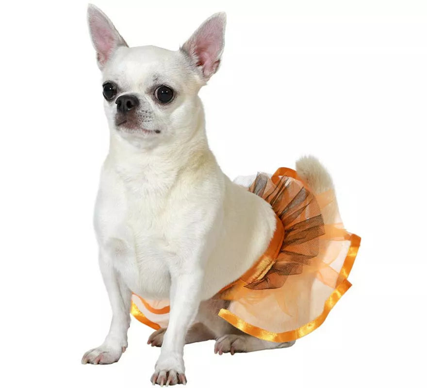 Translation missing: de.Disfraz o Tutú naranja para perro