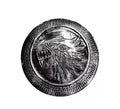 Escudo Lobo plateado de 46 cm