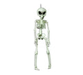 Esqueleto Alien Colgante de 40 cm