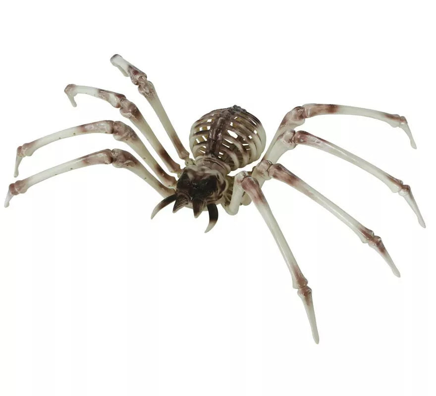 Translation missing: de.Esqueleto Araña 85x35 cm